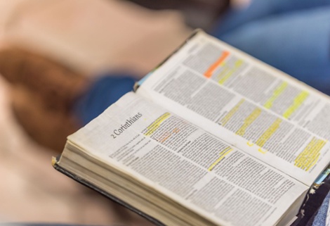 Sunday Mass Readings