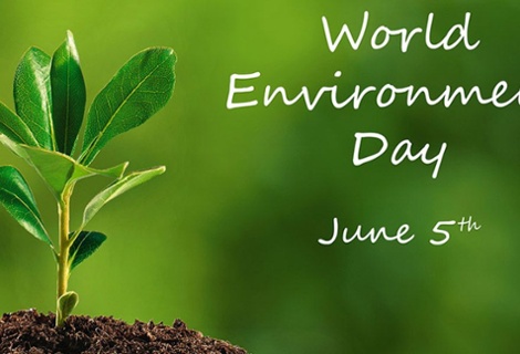 World Environment Day 2020