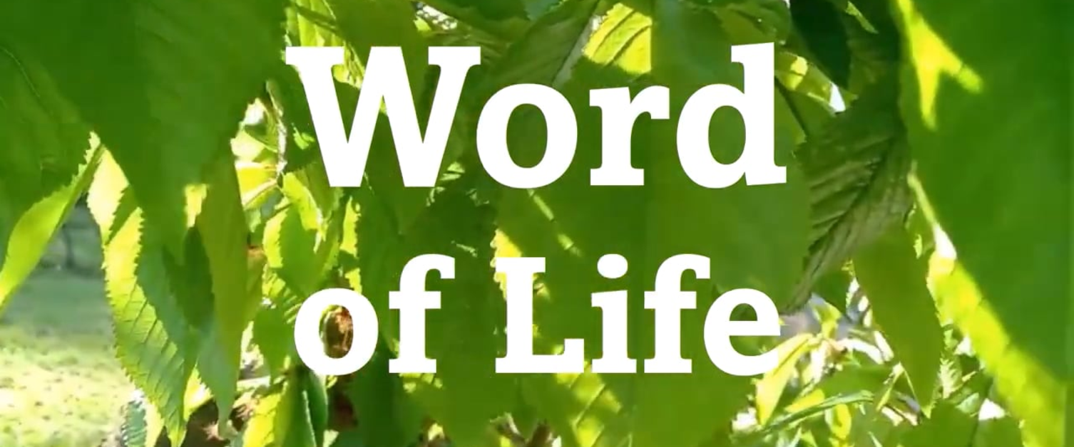 Word of Life May, 2024