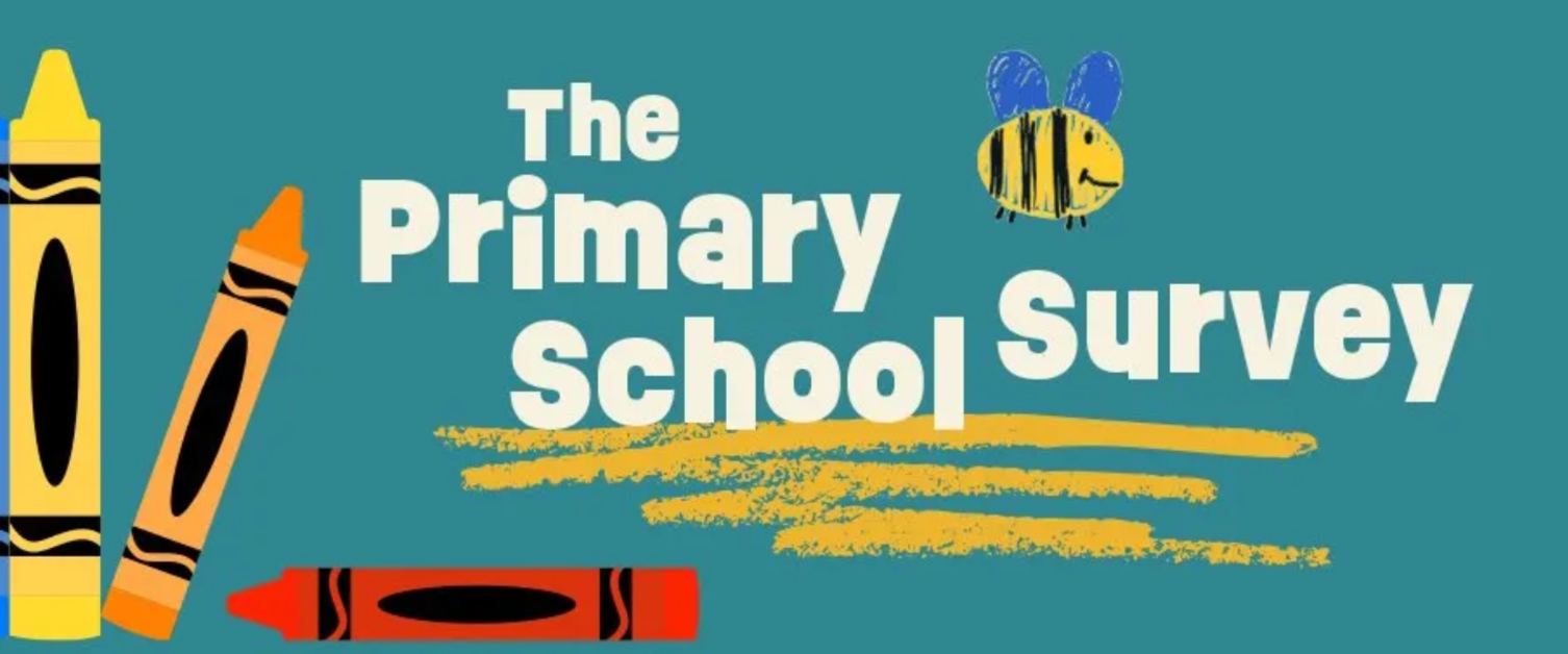 Primary School Survey