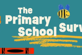 Primary School Survey