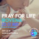 Bishops launch nine days of Prayer for Life