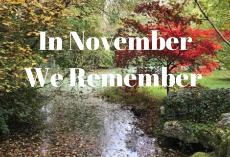 In November We Remember