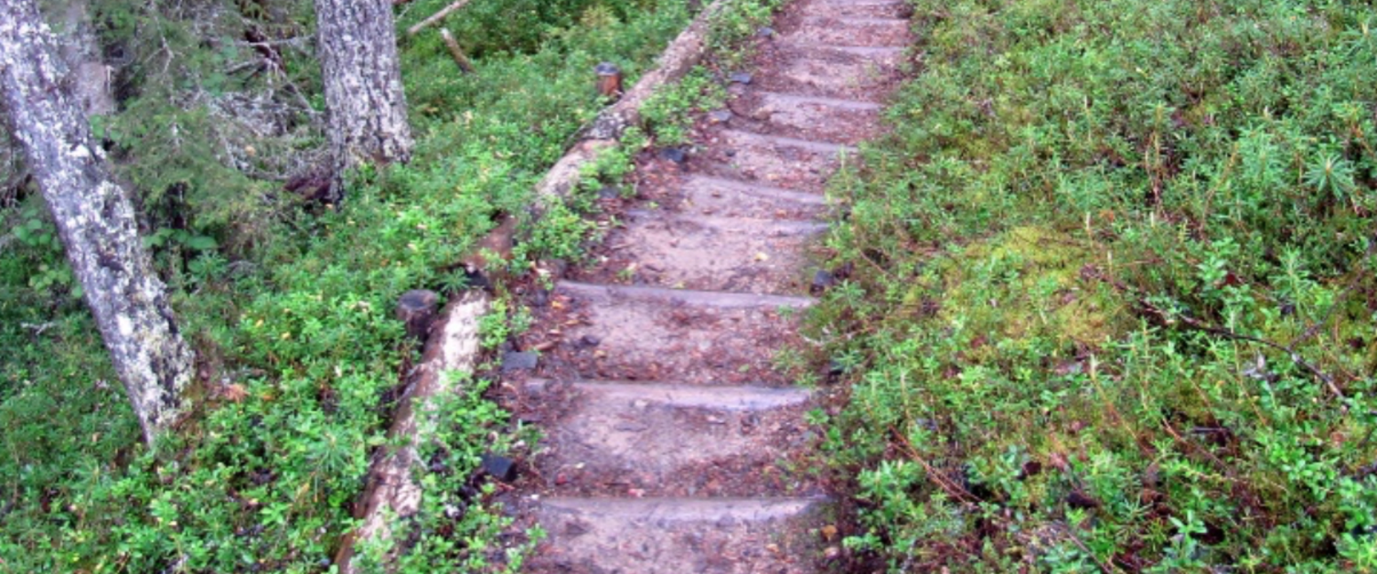 Guidelines on 3 Tasks for Parish Synod Conversations