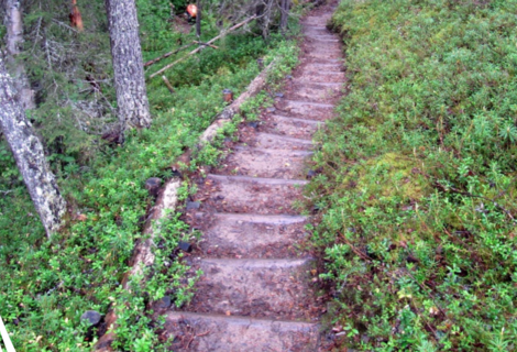 Guidelines on 3 Tasks for Parish Synod Conversations