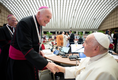 Future of Church and Limerick Diocese Overview