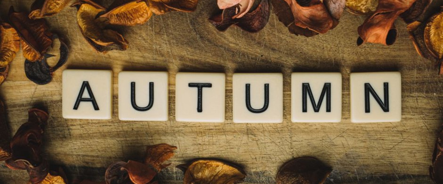 Autumn Programme of Pastoral Events