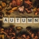 Autumn Programme of Pastoral Events