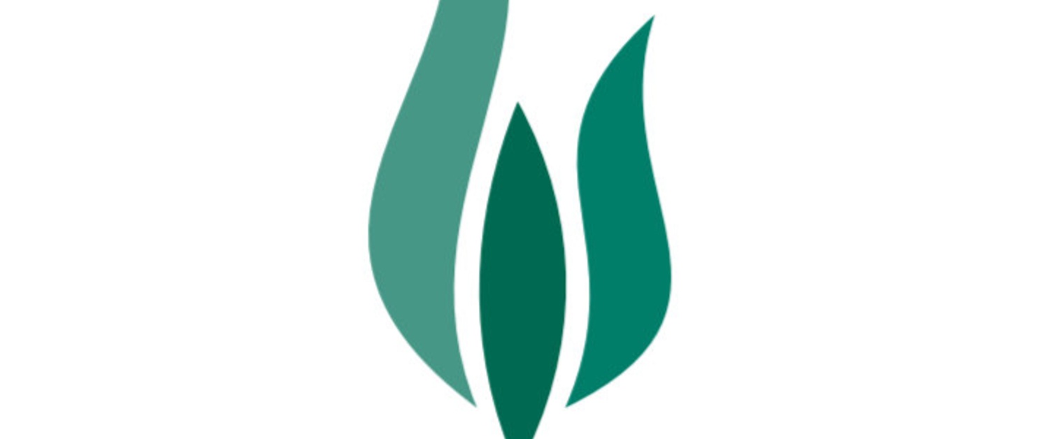 Chief Executive Officer