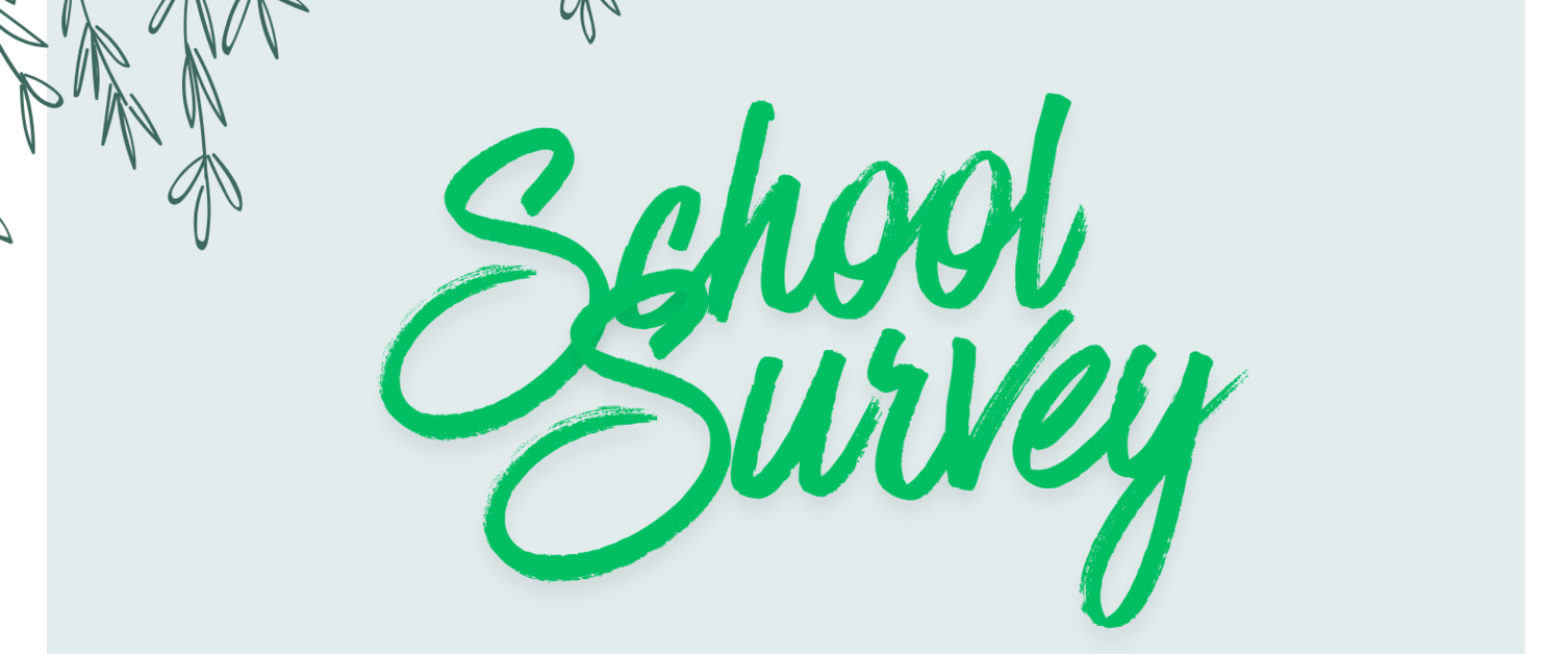 Bishop Brendan on School Patronage Survey