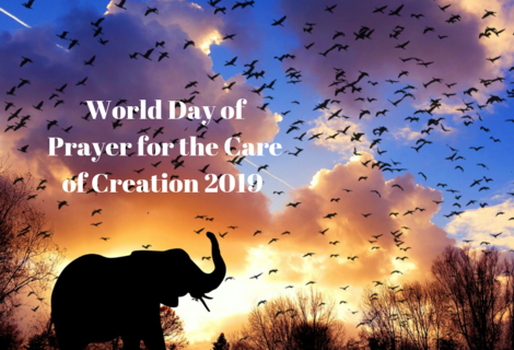 Pope's message for the World Day of Prayer for the Care of Creation 2019