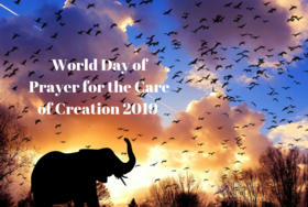 Pope's message for the World Day of Prayer for the Care of Creation 2019