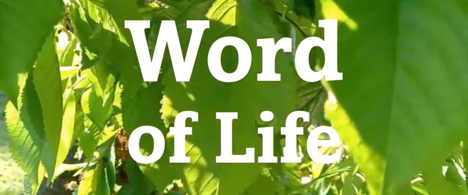 Word of Life for June 2024