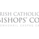 Statement of the Spring 2023 General Meeting of the Irish Catholic Bishops' Conference