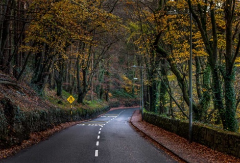 How can we know the way?