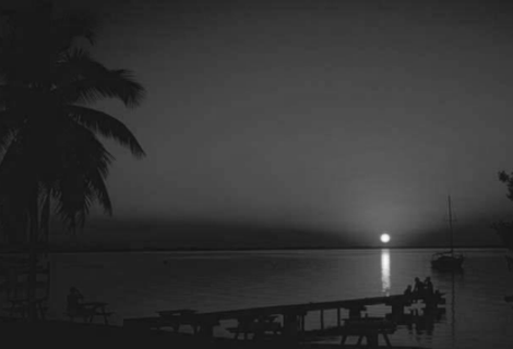 Light Shines in Darkness